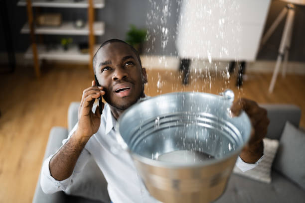 Best Ceiling water damage repair  in Tryon, NC